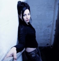 Amy Lee Longsleeve T-shirt #1253182