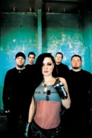 Amy Lee Longsleeve T-shirt #1317939