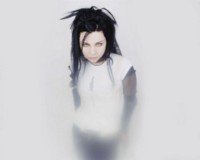 Amy Lee Longsleeve T-shirt #1323309