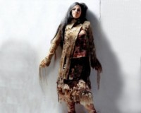 Amy Lee Longsleeve T-shirt #1323311
