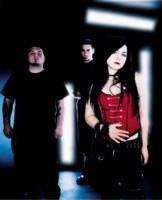 Amy Lee Longsleeve T-shirt #1363583