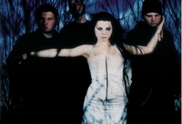 Amy Lee mug #G409003