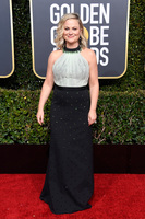 Amy Poehler t-shirt #3723168