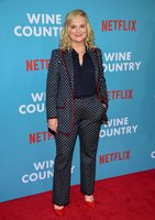 Amy Poehler t-shirt #3839342