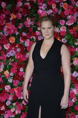 Amy Schumer Poster 3269157