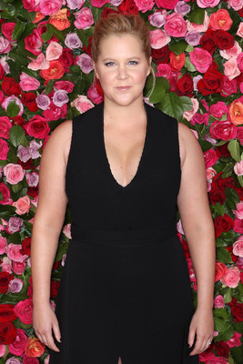 Amy Schumer Poster 3269176
