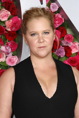 Amy Schumer Poster 3269198