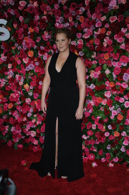 Amy Schumer Poster 3269201