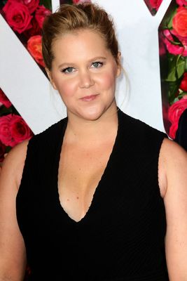 Amy Schumer Poster 3269203