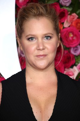 Amy Schumer Poster 3269210