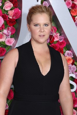 Amy Schumer Poster 3269213