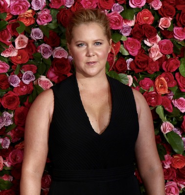 Amy Schumer Poster 3299267