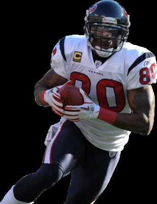 Andre Johnson canvas poster