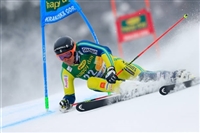 Andre Myhrer tote bag #G2262688