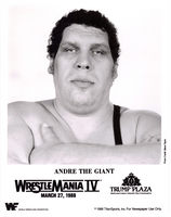 Andre The Giant t-shirt #1998574