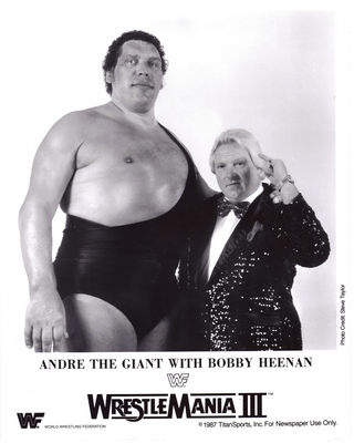 Andre The Giant canvas poster