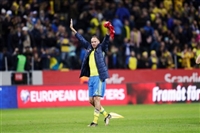 Andreas Granqvist Sweatshirt #3330192