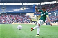 Andres Guardado Sweatshirt #3334386