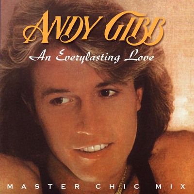 Andy Gibb poster