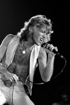 Andy Gibb Poster 2608008