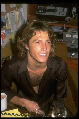 Andy Gibb Poster 2608043