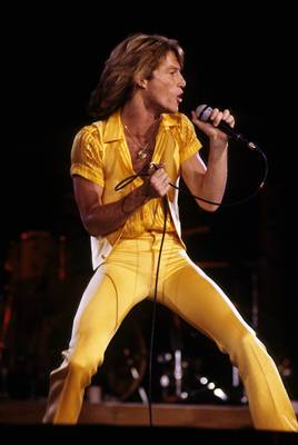 Andy Gibb Poster 2608046