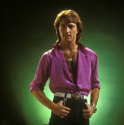 Andy Gibb Poster 2608069