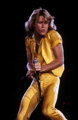 Andy Gibb Poster 2608081