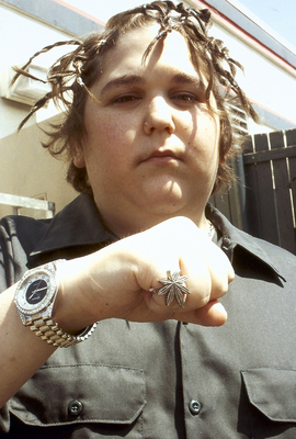 Andy Milonakis Poster 1989596