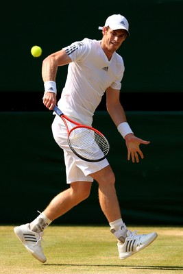 Andy Murray puzzle 2608666