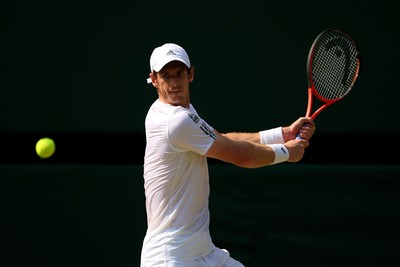 Andy Murray Poster 2608702