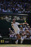 Andy Murray mug #G852488