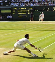 Andy Murray t-shirt #2610796