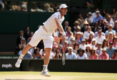 Andy Murray posters