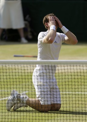 Andy Murray Poster 2611220