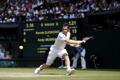 Andy Murray Poster 2611240