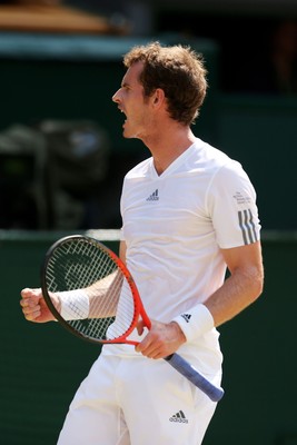 Andy Murray Poster 2611241