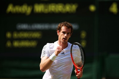 Andy Murray Poster 2611254