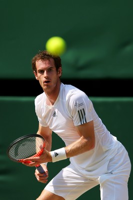 Andy Murray Poster 2611256