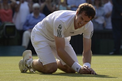 Andy Murray puzzle 2611265
