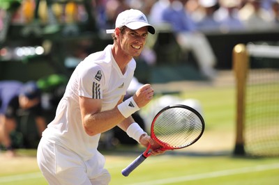 Andy Murray stickers 2611284