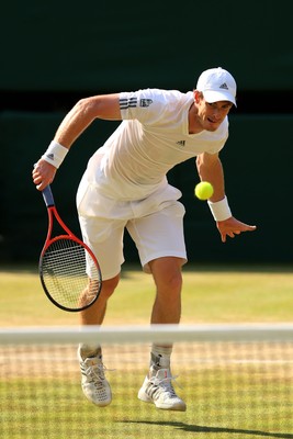 Andy Murray Poster 2611292
