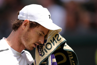 Andy Murray mug #G854105