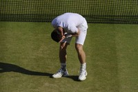 Andy Murray tote bag #G854129