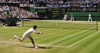 Andy Murray mug #G854186
