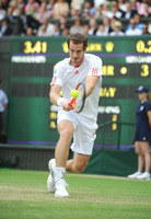 Andy Murray mug #G854937