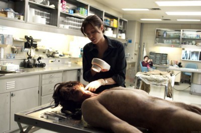 Angelina Jolie posters