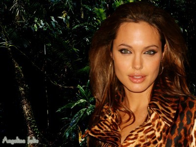 Angelina Jolie posters