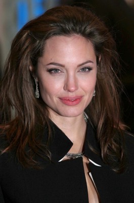 Angelina Jolie stickers 1356968