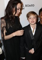 Angelina Jolie hoodie #2976845